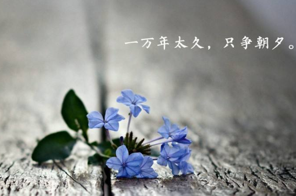 有些話永遠(yuǎn)不要在朋友圈里說