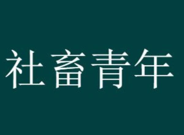 社畜也有分類，要不要看看你是什么類型？