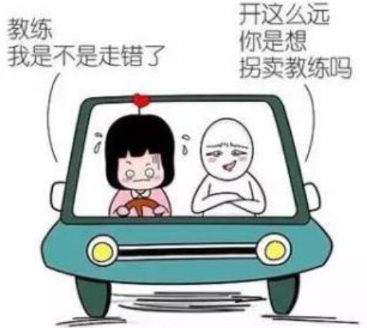 當(dāng)代駕校教練有多難？