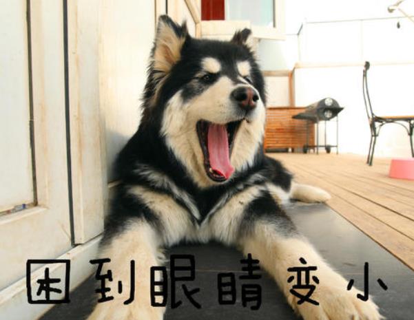 什么時刻你開始服老了？