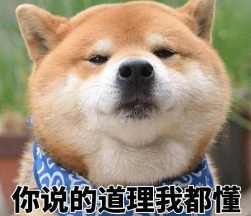如何委婉拒絕親戚介紹的相親對象