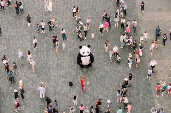 暴露缺點(diǎn)效應(yīng)的優(yōu)點(diǎn)有哪些？