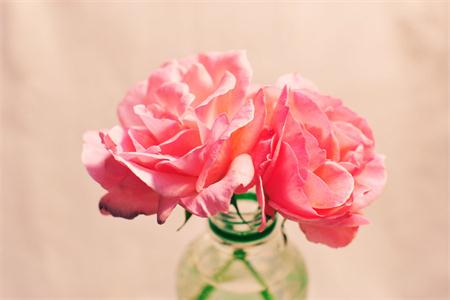 測(cè)試你的桃花什么時(shí)候最旺？