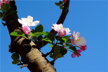 測(cè)你最近的桃花運(yùn)