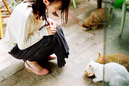 測試你的愛情有緣人