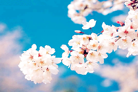 測(cè)別人眼中你的好相處指數(shù)