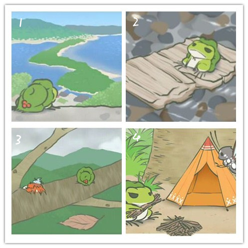 青蛙旅行，來測測你適合養(yǎng)什么類型的寵物？