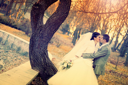 你和不愛的人結(jié)婚的可能性