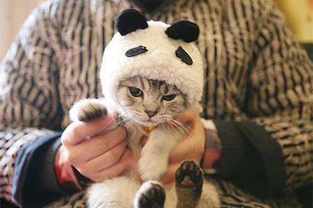 測(cè)試你會(huì)有什么失敗的借口