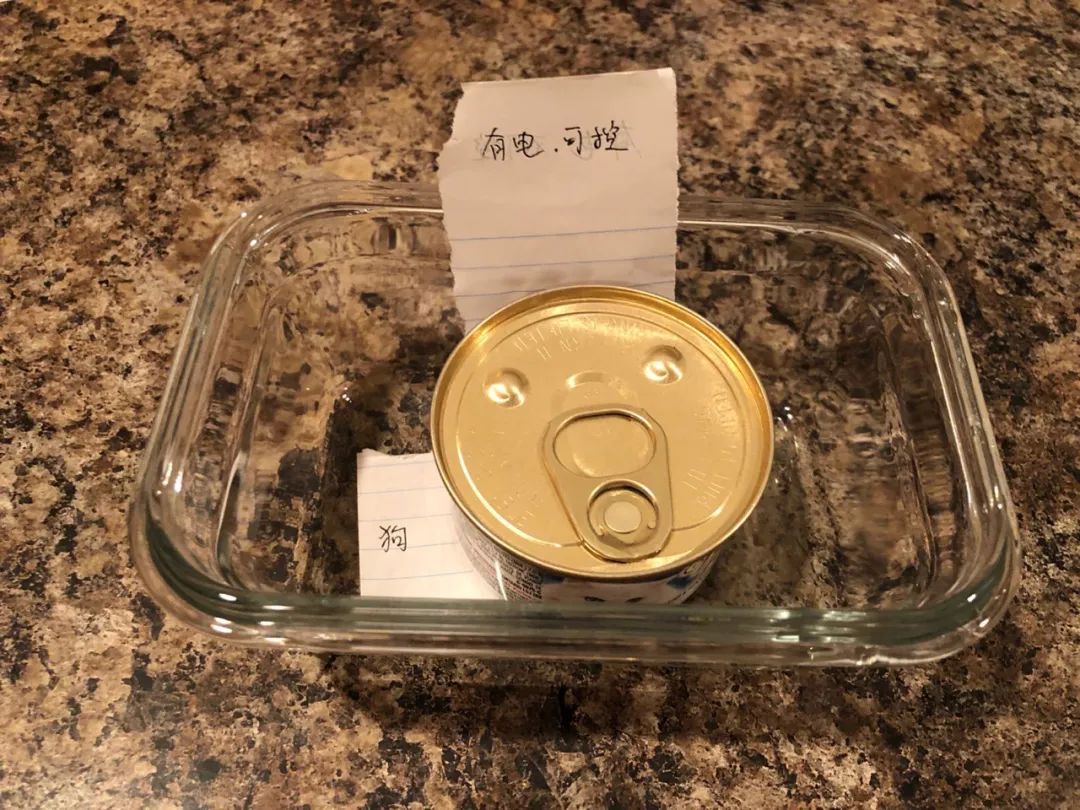 習(xí)得性無助-為什么只會抱怨卻什么都不做