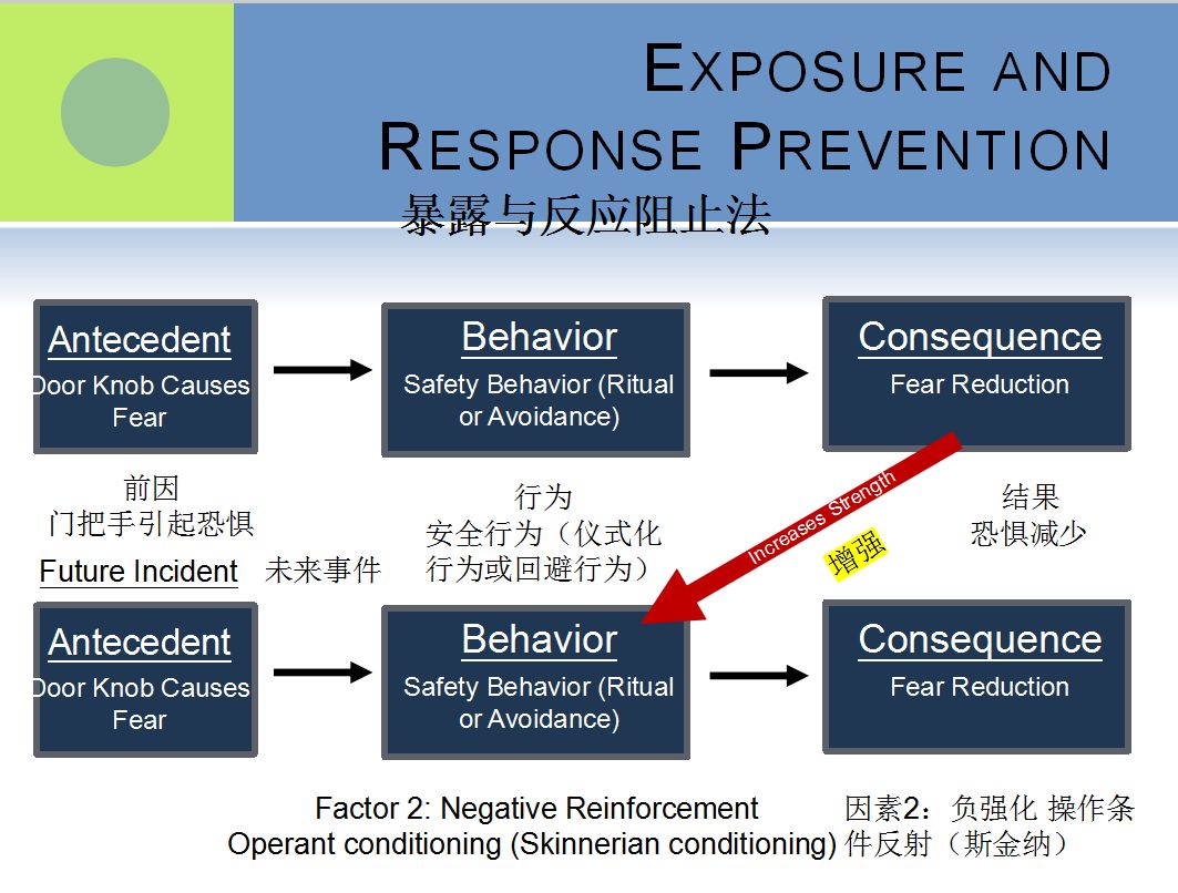 強(qiáng)迫癥與囤積障礙的認(rèn)知行為治療