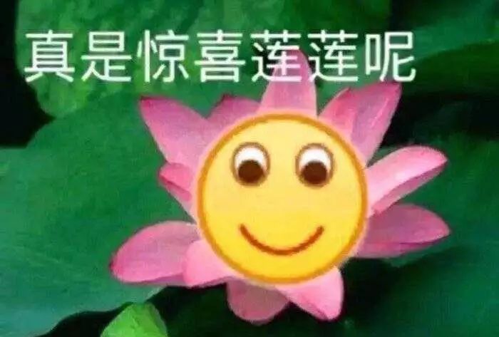 達(dá)克效應(yīng)-杠精為什么覺得自己什么都知道