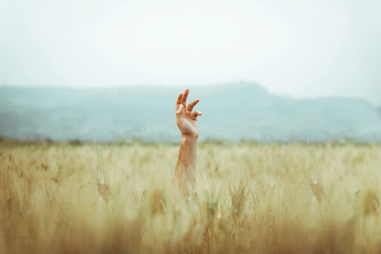 唯有悲傷，才能治愈悲傷