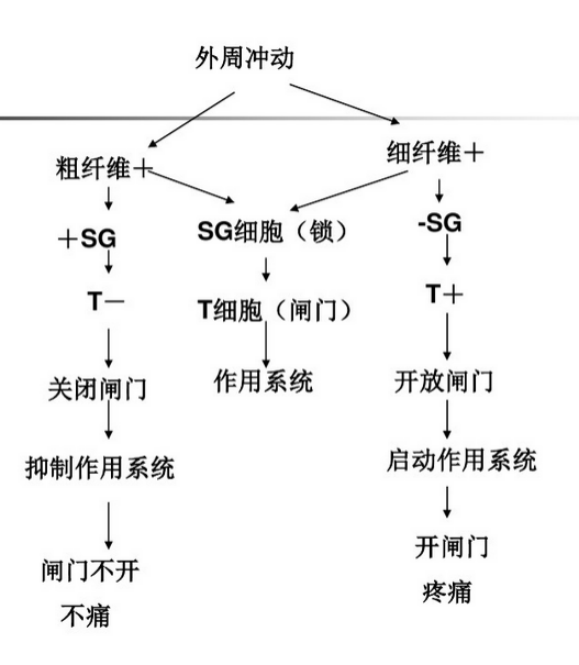 疼痛心理學(xué) | 痛著痛著就好了？