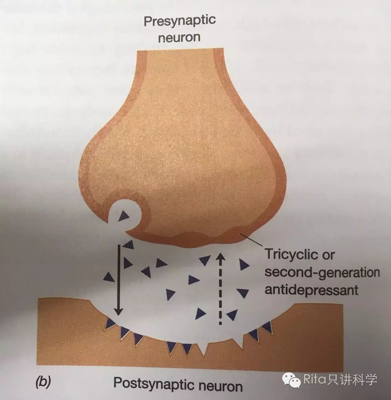 抑郁癥到底是怎么回事