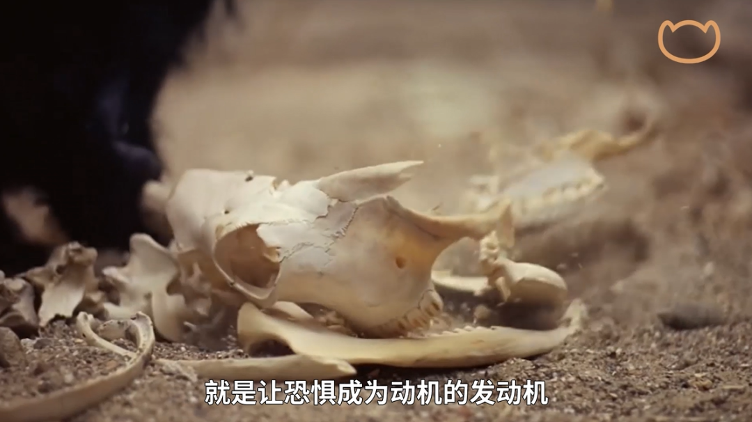 凡爾賽時(shí)代，打工人必修課：老板為什么焦慮?