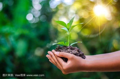 建立有邊界的愛，給孩子一個(gè)可以痛苦的空間