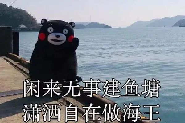 當(dāng)代青年網(wǎng)戀失敗大賞，年底脫單只能靠套路嗎？