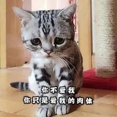 喜歡原味內(nèi)褲的男人，是不是不正常？