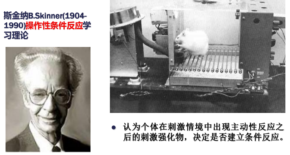 心理咨詢主要分為哪四大學(xué)派？