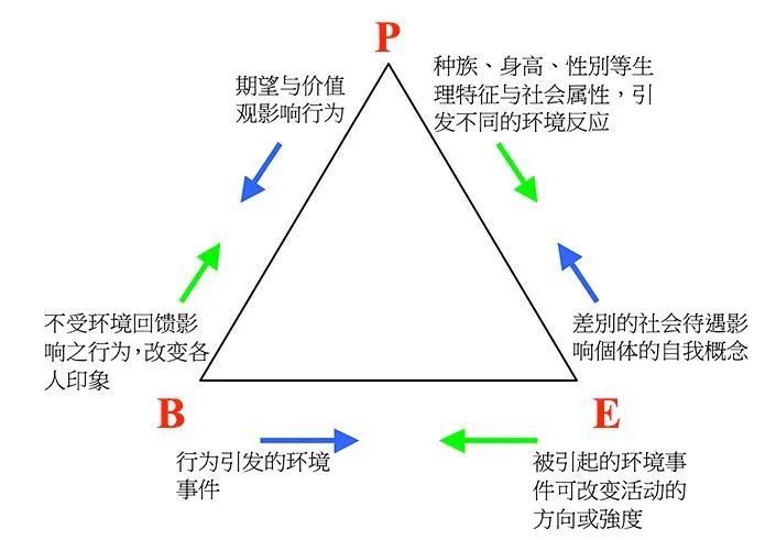 社會(huì)學(xué)習(xí)理論