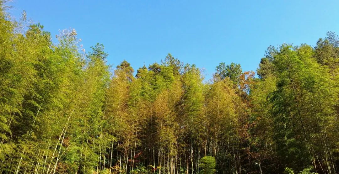 成年人最大的秘密，都暴露在備忘錄里