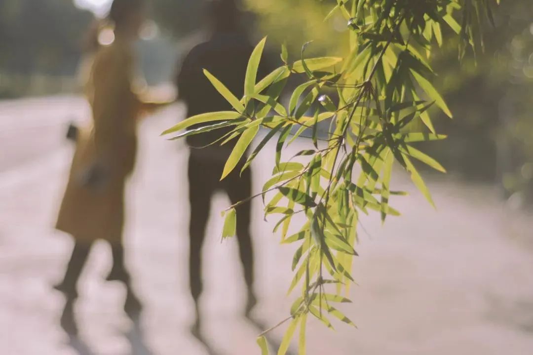 是什么決定了親密關系的質量