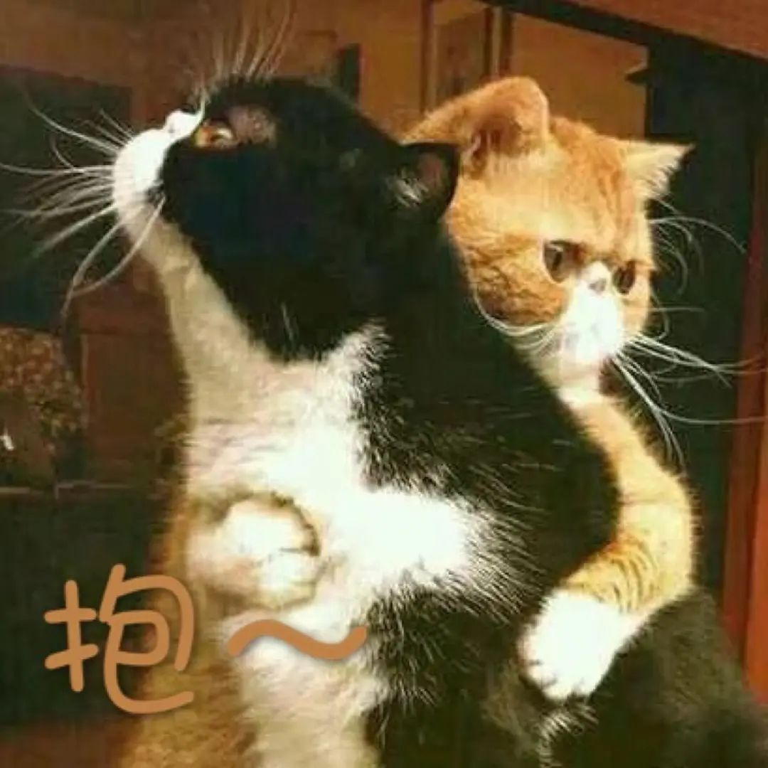 解壓新方式：你有多久沒擁抱過別人了？