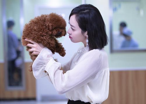 經(jīng)濟獨立事業(yè)有成的女性為什么處理不好和老公的關系