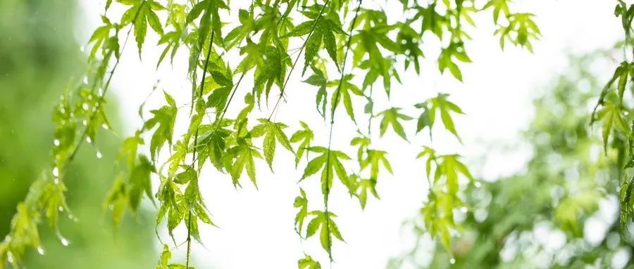 直面恐懼，是我戰(zhàn)勝抑郁癥的關(guān)鍵原因