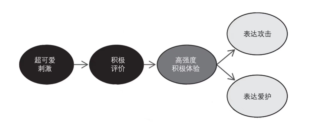 科學解讀《可愛攻擊》與情緒系統(tǒng)和獎勵系統(tǒng)有關