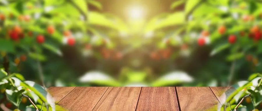 抑郁癥患者的執(zhí)念是如何形成的？