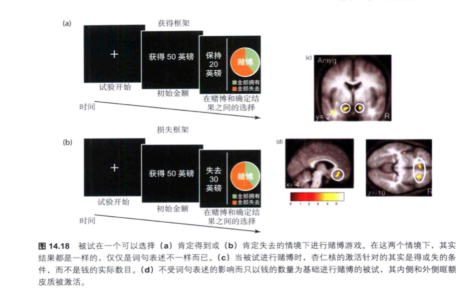 神經(jīng)經(jīng)濟(jì)學(xué)：情緒上頭、你的抉擇可能會(huì)變