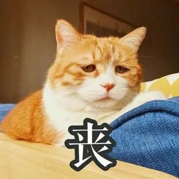 從小缺愛，如何提升愛人的能力？