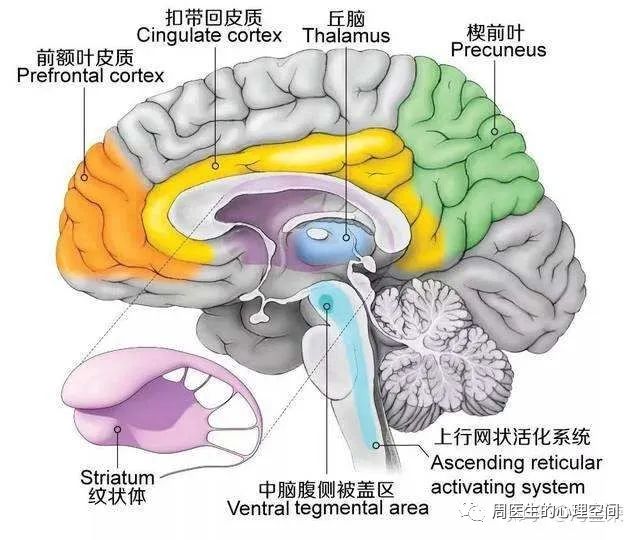 人為什么喜歡看八卦，是什么心理原因？