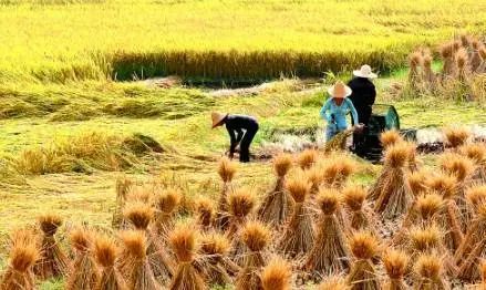 活在當下，讓我獲得了發(fā)自內(nèi)心的平和與喜悅