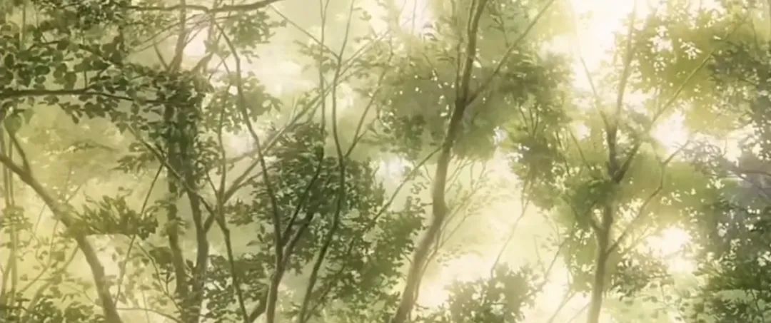 為什么會害怕別人夸獎我？
