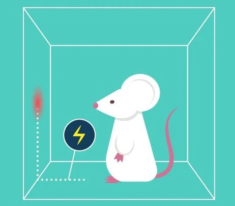抑郁癥動物模型之習得性無助