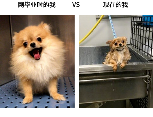 過上想要的生活后才發(fā)現(xiàn)優(yōu)秀并不重要