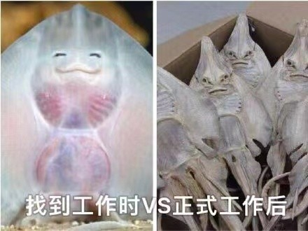 過上想要的生活后才發(fā)現(xiàn)優(yōu)秀并不重要