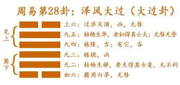 諾伊曼：易經(jīng)是有求必應(yīng)，夢則會趨于沉默