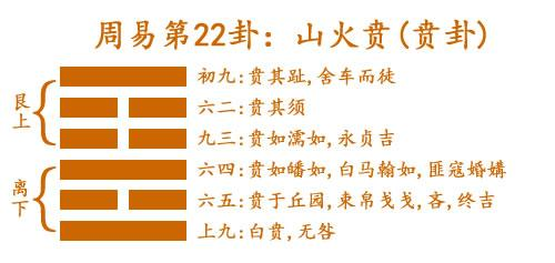 諾伊曼：易經(jīng)是有求必應(yīng)，夢則會趨于沉默