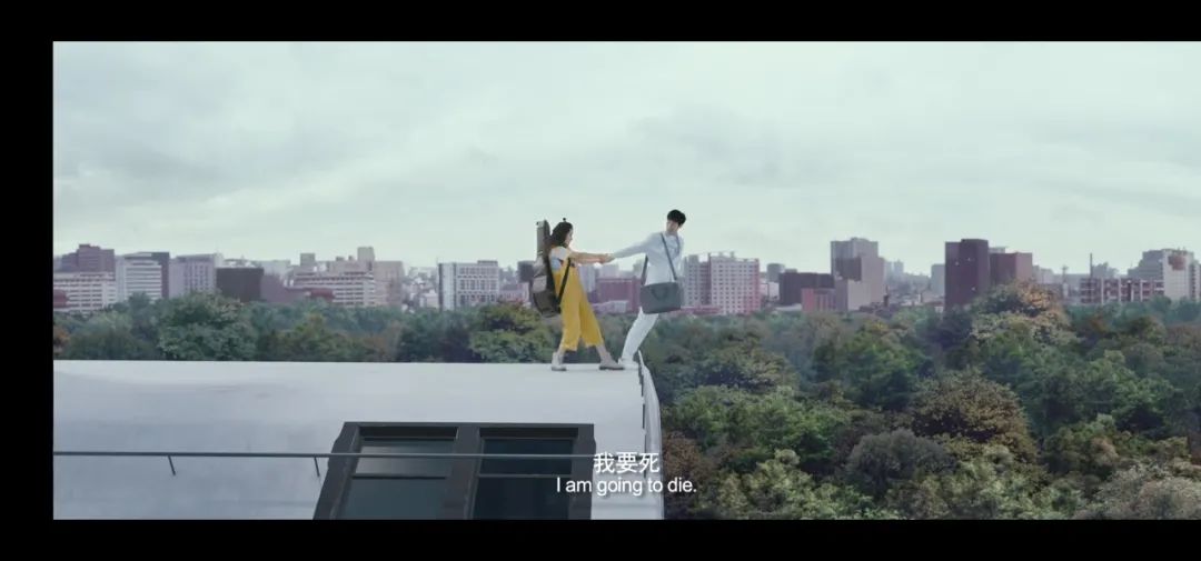 什么是強(qiáng)迫癥、又該如何治愈？