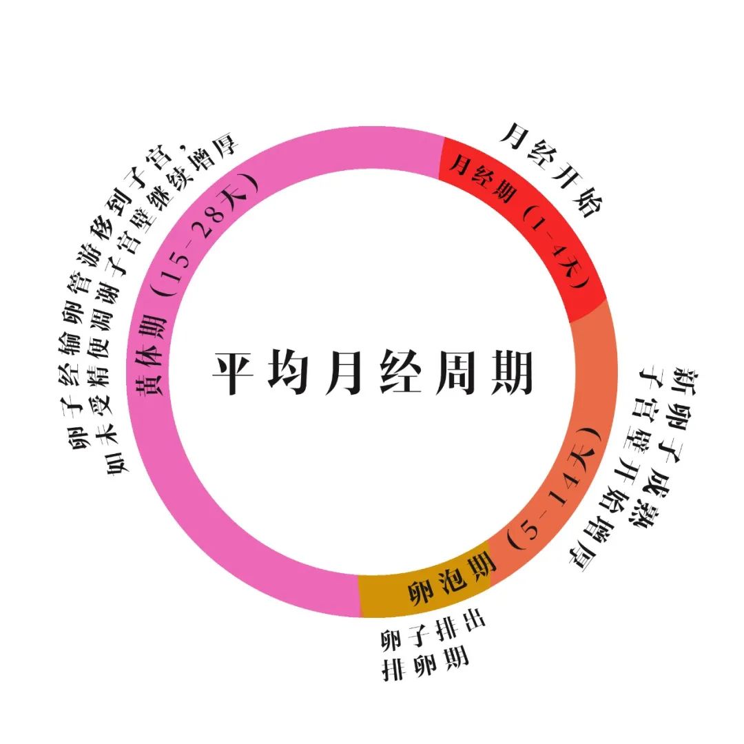 消費行為可能與月經(jīng)周期相關(guān)