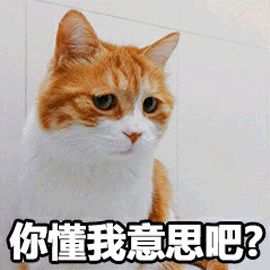 性格色彩是科學(xué)還是算命