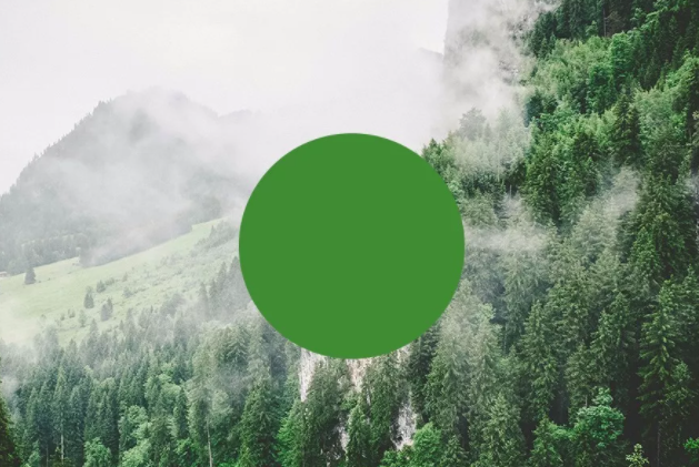 性格色彩測試的準(zhǔn)確性