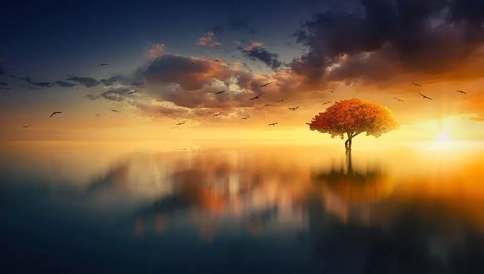 若不先解決自己的陰影，沒(méi)人能夠獲得自我認(rèn)識(shí)