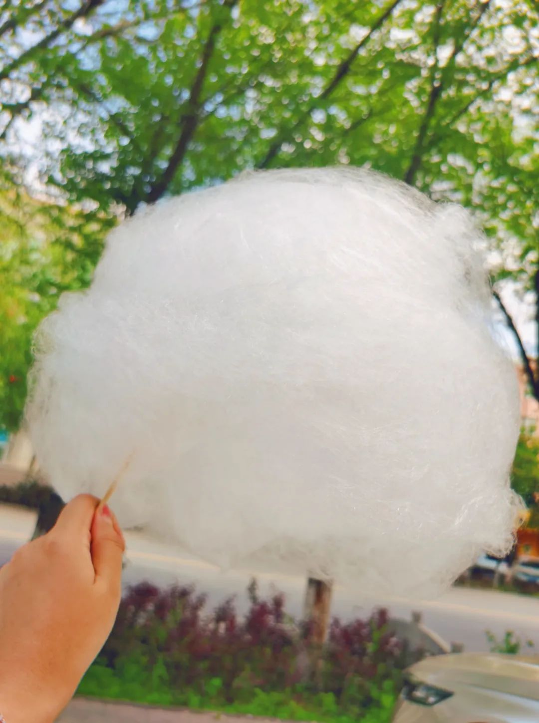 39歲的我，還像少女一樣自由快樂