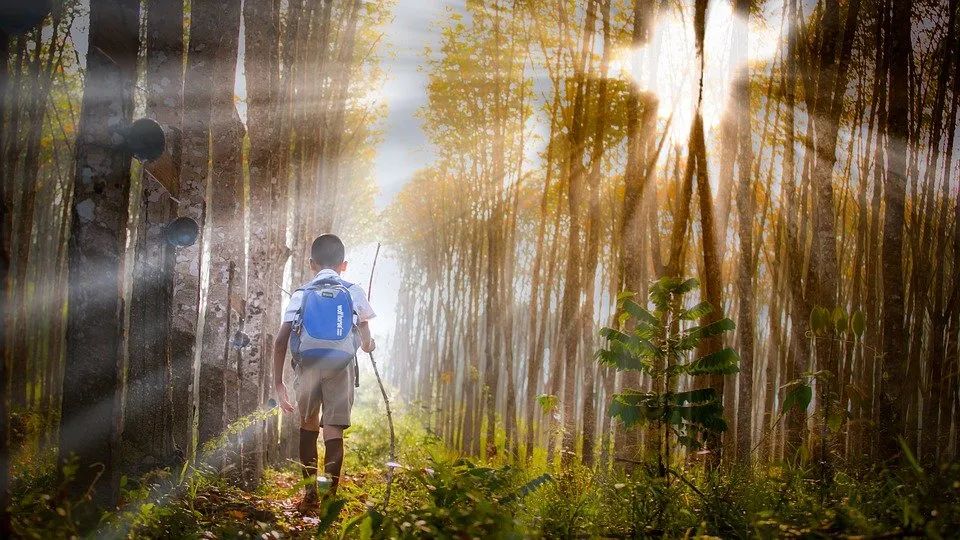 別讓你的人生目標(biāo)“毀了孩子”