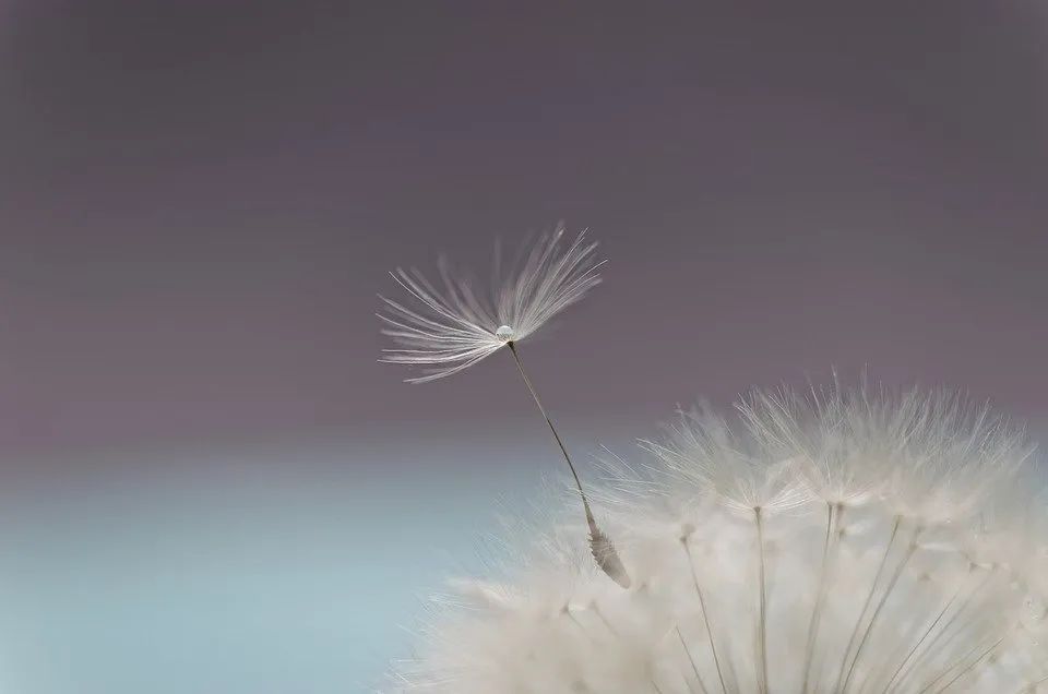 榮格當(dāng)年如何在臨床中運用表達(dá)性藝術(shù)
